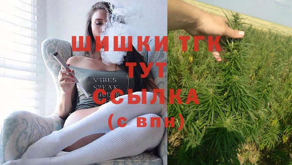 гашик Абинск