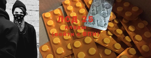 гашик Абинск
