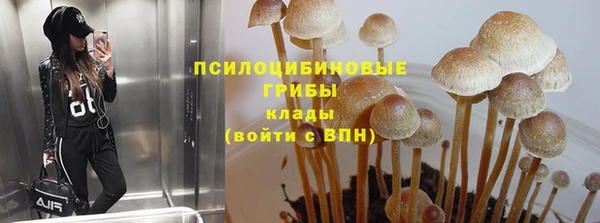 тгк Нязепетровск