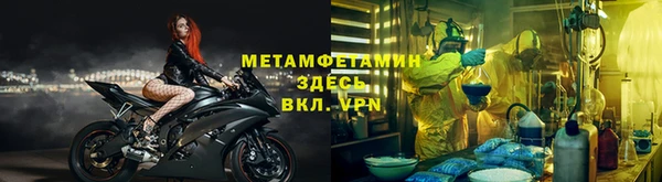 прущие грибы Абдулино
