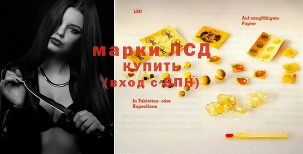 прущие грибы Абдулино