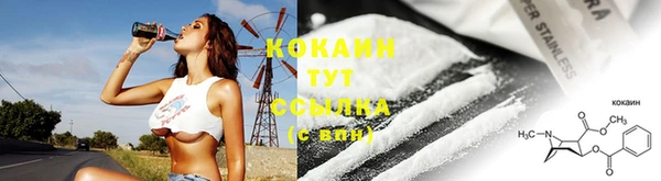 крисы Абаза