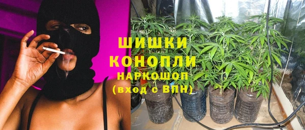 крисы Абаза