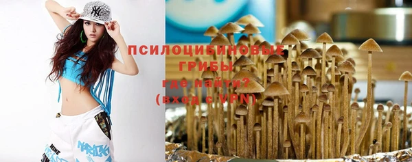 крисы Абаза