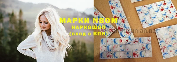 крисы Абаза