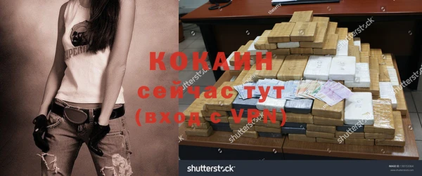 прущие грибы Абдулино