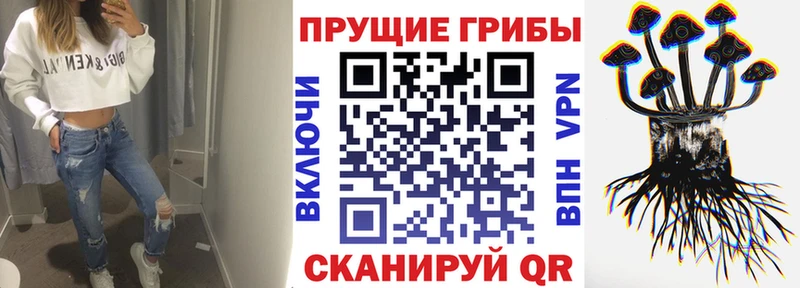 Псилоцибиновые грибы Psilocybe  Почеп 